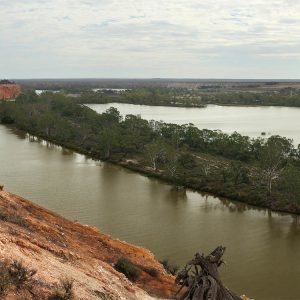 Murray River Bend, SA